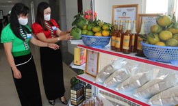 Chuyển đổi số trong Hội Phụ nữ xã: Gắn kết phụ nữ vùng sâu Sơn La với tiện ích công nghệ