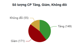 Chứng khoán 'xanh vỏ đỏ lòng' cạn thanh khoản