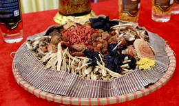 Y dược cổ truyền là cơ hội để ngành công nghiệp dược Việt Nam bứt phá