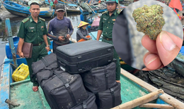 TPHCM: Ngư dân vớt được 81kg cần sa khô trôi trên biển