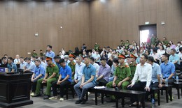 ‘Vụ Thuận An là điển hình của các vụ vi phạm về đấu thầu’