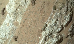 NASA phát hiện dấu hiệu sự sống trên Sao Hỏa gây chấn động giới khoa học