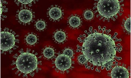Virus RSV bùng phát nghiêm trọng tại Thái Lan