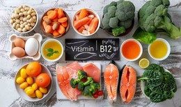 Vitamin B12 có nhiều trong thực phẩm nào?