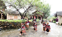 L&#244; L&#244; Chải, m&#234; hoặc từ nếp nh&#224; tr&#236;nh tường