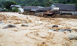 Nguy&#234;n nh&#226;n lũ qu&#233;t bất ngờ ở Kh&#225;nh H&#242;a cuốn theo nhiều hoa m&#224;u