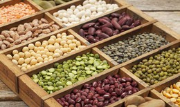 L&#253; do người bệnh gout cần hạn chế c&#225;c loại đậu gi&#224;u purin