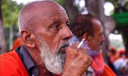 WHO c&#244;ng bố b&#225;o c&#225;o về ph&#242;ng, chống c&#225;c bệnh kh&#244;ng l&#226;y nhiễm