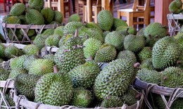 Giá nhiều loại nông sản chủ lực tại Đồng Tháp tăng trở lại