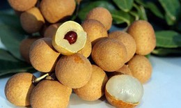 6 b&#224;i thuốc từ long nh&#227;n gi&#250;p bổ huyết, chữa thiếu m&#225;u