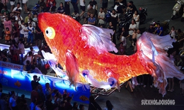 Cá chép, rồng khổng lồ ‘bơi’ giữa phố