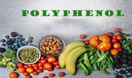 Chất chống oxy hóa nào trong thực phẩm bảo vệ da tốt nhất trước tia UV