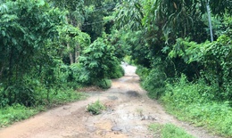 TPHCM: Con trai d&#249;ng dao s&#225;t hại mẹ, ch&#233;m chị g&#225;i