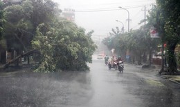 Triển khai gấp các biện pháp ứng phó với bão Ragasa