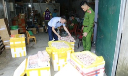 Ph&#225;t hiện h&#224;ng ngh&#236;n ch&#226;n g&#224;, x&#250;c x&#237;ch, nem chua kh&#244;ng r&#245; nguồn gốc