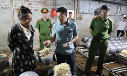 D&#249;ng chất cấm để sản xuất gi&#225; đỗ