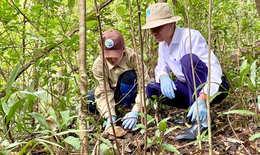 Thả nhiều động vật quý hiếm về rừng, có cá thể thuộc loài nguy cơ tuyệt chủng cao