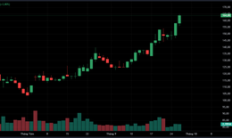 VN-Index 'dẫm chân tại chỗ'