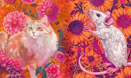 Tử vi tuần mới 12 con gi&#225;p 29/9 - 5/10: Sửu biến động, Tuất khởi ph&#225;t