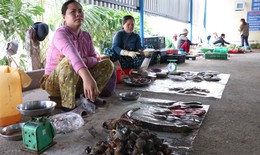 Chợ mới đầu tư tiền tỷ vắng như ch&#249;a B&#224; Đanh, chợ &#39;chồm hổm&#39; lại tấp nập