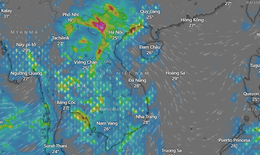 Bộ X&#226;y dựng ph&#225;t lệnh khẩn, cảnh b&#225;o triều cường, lũ qu&#233;t v&#224; sạt lở sau b&#227;o số 10