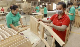 Xuất khẩu nông lâm thủy sản 8 tháng tăng 12%
