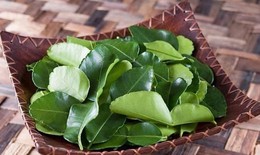 Làm đẹp tóc bằng một loại lá có sẵn trong vườn nhà