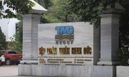 Khởi tố Ph&#243; Tổng Gi&#225;m đốc C&#244;ng ty Thi&#234;n Minh Đức v&#224; 7 nh&#226;n vi&#234;n