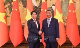 Chủ tịch nước Lương Cường hội đ&#224;m Tổng B&#237; thư, Chủ tịch nước Trung Quốc Tập Cận B&#236;nh