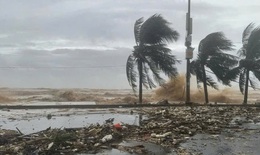 Biển Đ&#244;ng c&#243; thể sắp đ&#243;n &#225;p thấp nhiệt đới g&#226;y mưa lớn cho miền Bắc