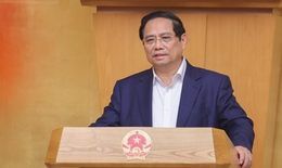 Ch&#237;nh phủ xem x&#233;t, cho &#253; kiến về dự &#225;n Luật Ph&#242;ng bệnh, Luật D&#226;n số (sửa đổi)