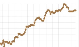 Ngân hàng Nhà nước điều chỉnh tỷ giá USD