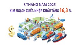 8 tháng năm 2025: Kim ngạch xuất, nhập khẩu tăng 16,3%