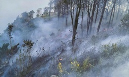 Nghệ An: Kịp thời khống chế cháy rừng trên núi Rồng