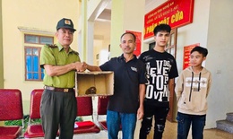 Người dân Nghệ An phát hiện cu li quý hiếm tại vườn nhà