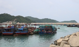 B&#227;o số 7: Quảng Ninh tạm ngừng cấp ph&#233;p t&#224;u ra khơi một số khu vực biển từ 11h trưa 8/9