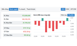 Nh&#224; đầu tư nước ngo&#224;i gom cổ phiếu khi VN-Index &#39;đỏ lửa&#39;