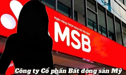 Bất động sản Mỹ nợ trên 20.300 tỷ đồng, gấp hơn 6 lần vốn chủ sở hữu