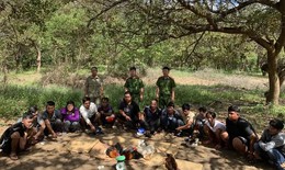 Triệt phá sới đá gà giữa ban ngày ở Đồng Nai, 9 đối tượng sa lưới