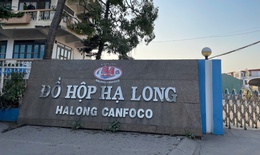 Bắt khẩn cấp Tổng Giám đốc Công ty CP Đồ hộp Hạ Long