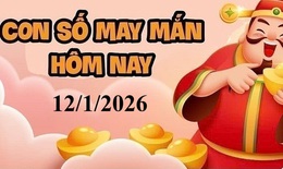 Con số may mắn hôm nay 12/1 - số cát lành - số tài lộc 12 con giáp đầu tuần