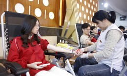 'Chủ nhật Đỏ' 2026 - nhịp cầu nhân ái kết nối những tấm lòng thiện nguyện 