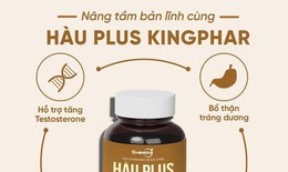 Hàu Plus – Cách tiếp cận nhẹ nhàng trong chăm sóc sức khỏe sinh lý nam giới