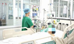 Nhiều ca sốt xuất huyết, tay chân miệng nguy kịch do nhập viện muộn, Bộ Y tế khuyến cáo gì?