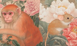 Tử vi 12 con giáp hôm nay 14/1: Ngọ bận rộn, Hợi ăn nên làm ra