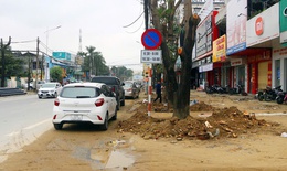 Bộ Công an đề nghị truy tố Chủ tịch Công ty Cây xanh Công Minh