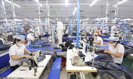 Góc nhìn từ truyền thông và giới quan sát quốc tế về Việt Nam trong 'kỷ nguyên vươn mình'