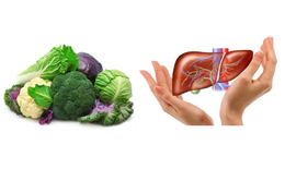 Những thực phẩm giúp gan hoạt động tốt hơn mà ít người để ý