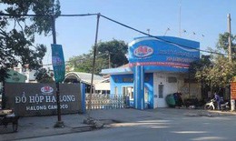 Vụ hơn 130 tấn thịt lợn nhiễm dịch tả châu Phi: Nữ cán bộ kiểm dịch ra đầu thú