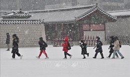 Hàn Quốc trải qua mùa Đông 'lạ'